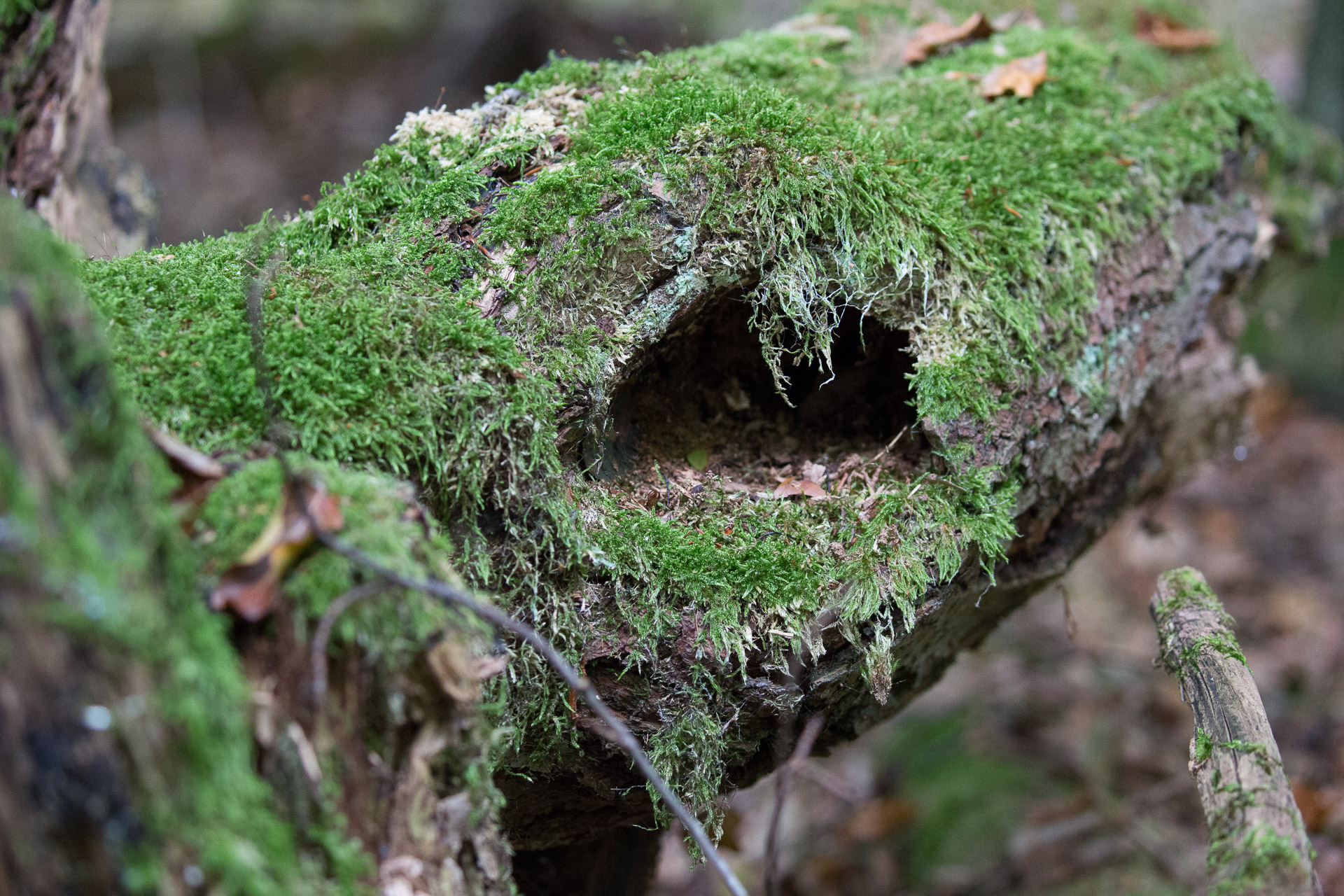 20231014100726 3K6A2144